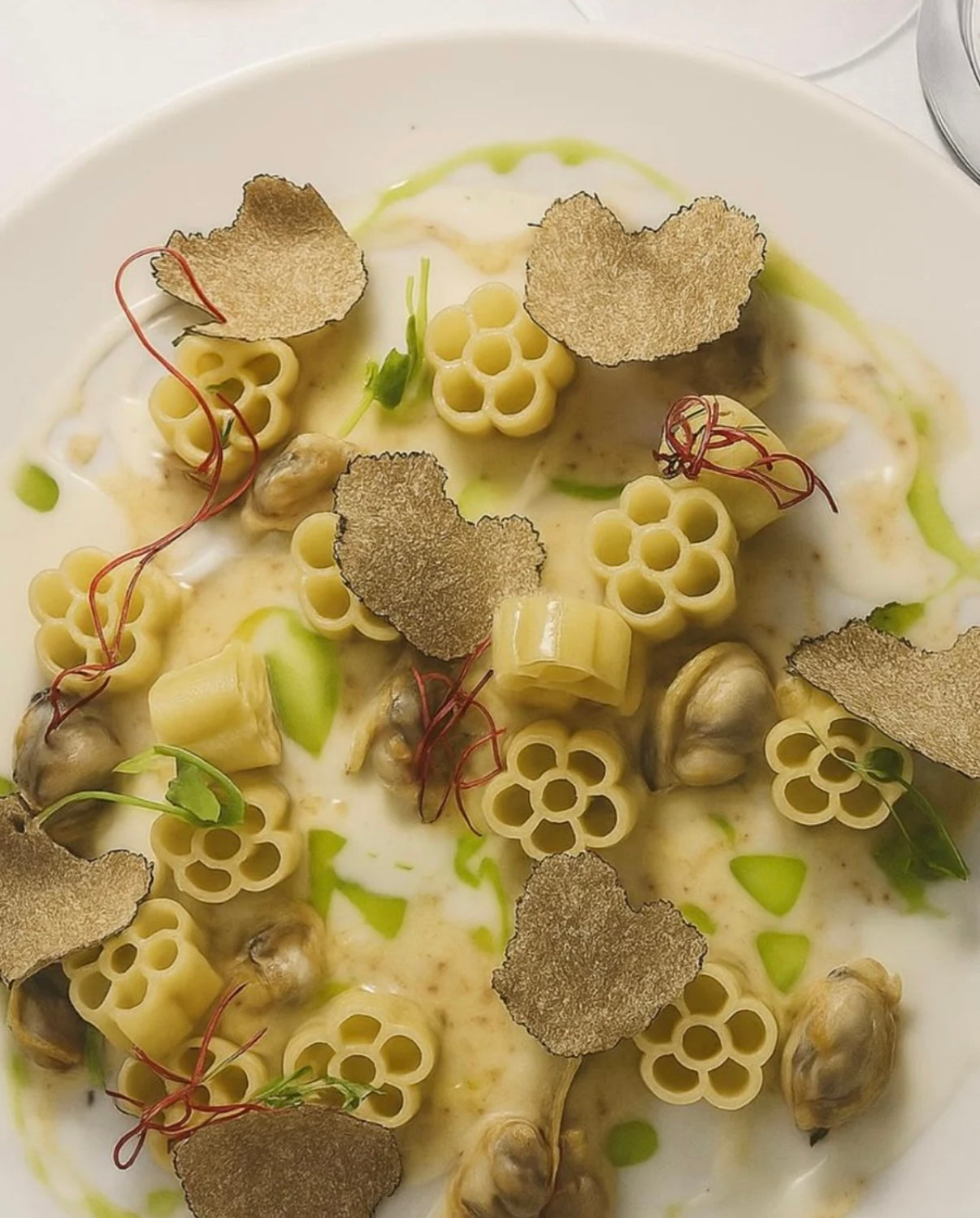 Pasta dish with Tartoofo sliced truffle and mussels 